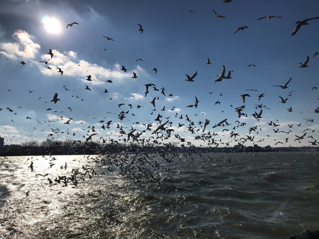 FFA286FB-D1F4-454D-A658-2BEB991504FD