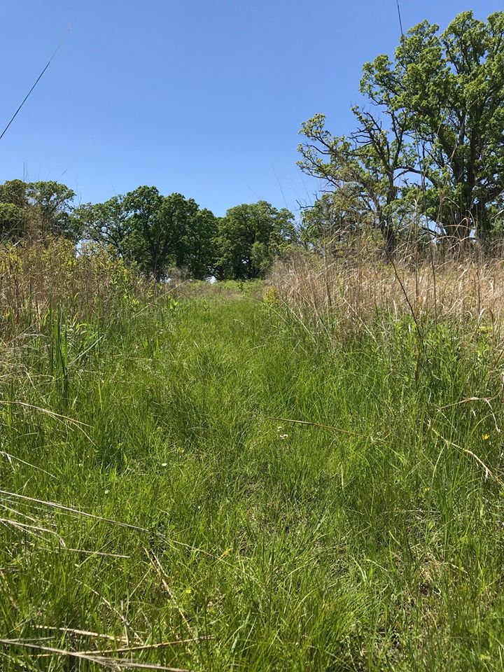 92754649_10163878032210145_3751860503803068416_o